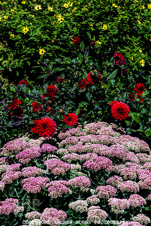 Court House Garden - EM Sep 20-3750