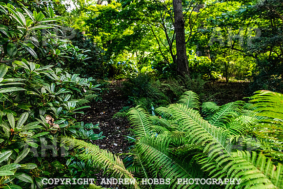 Court House Garden - EM Sep 20-3803