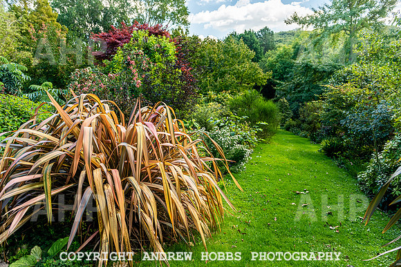 Court House Garden - EM Sep 20-3823