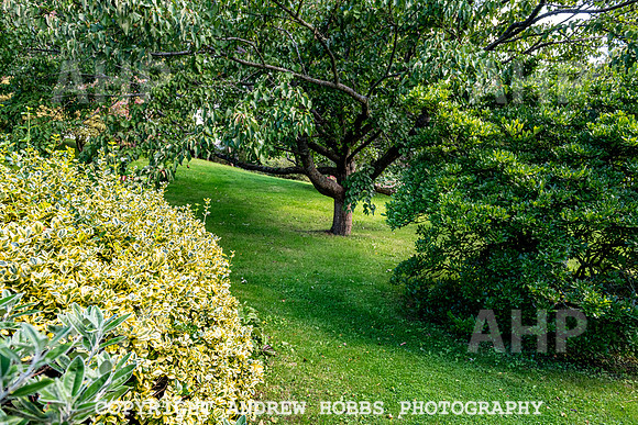 Court House Garden - EM Sep 20-3833