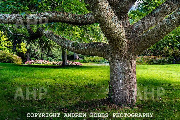 Court House Garden - EM Sep 20-3835