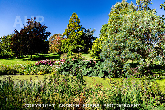 Court House Garden - EM Sep 20-3849