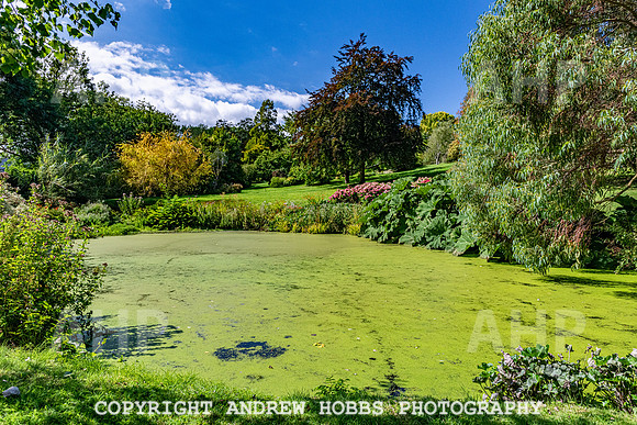 Court House Garden - EM Sep 20-3850