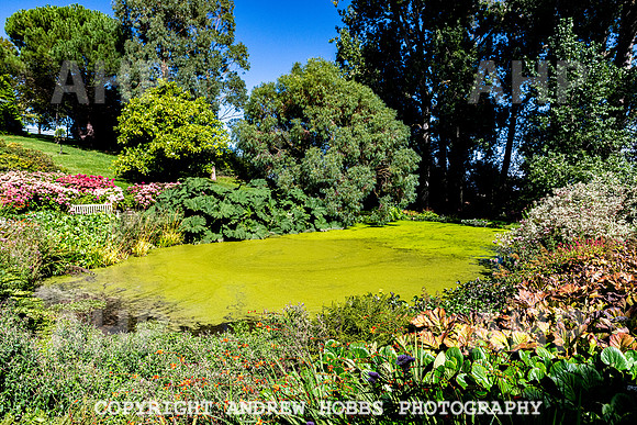 Court House Garden - EM Sep 20-3851