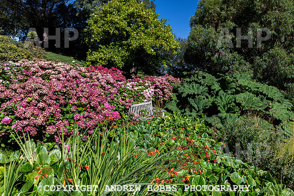 Court House Garden - EM Sep 20-3859