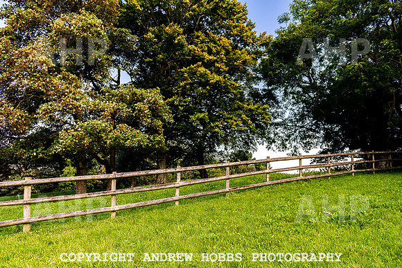 Court House Garden - EM Sep 20-3812
