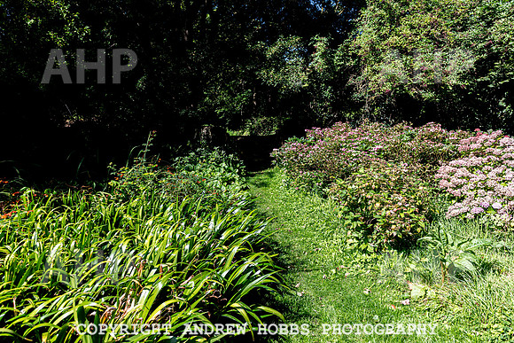 Court House Garden - EM Sep 20-3861