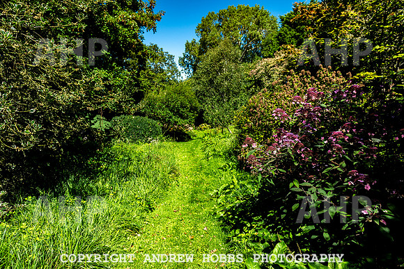 Court House Garden - EM Sep 20-3863
