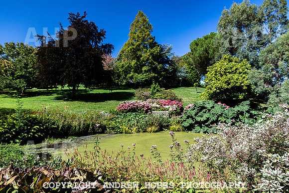 Court House Garden - EM Sep 20-3870