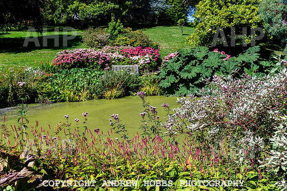 Court House Garden - EM Sep 20-3871