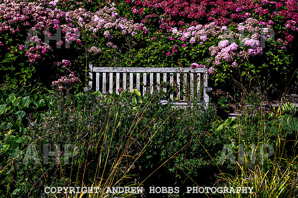 Court House Garden - EM Sep 20-3872