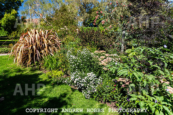 Court House Garden - EM Sep 20-3877