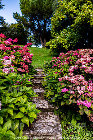 Court House Garden - EM Sep 20-3839