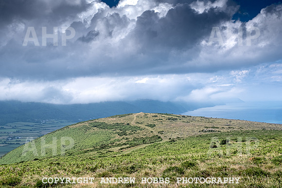 Bossington Hill 14 June 2020-4014