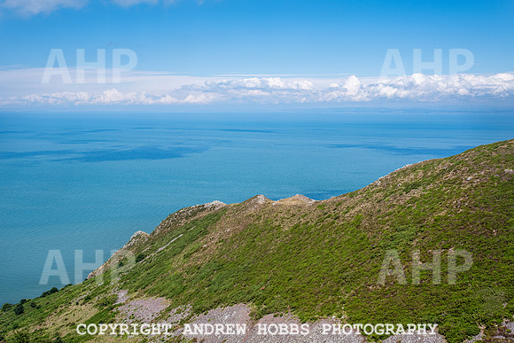 Bossington Hill 14 June 2020-4018