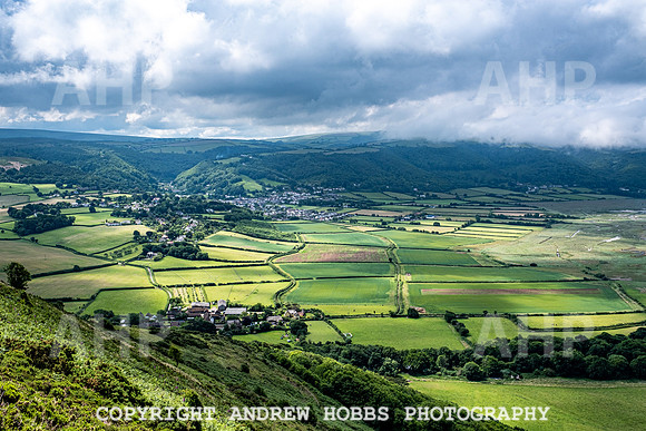 Bossington Hill 14 June 2020-4031