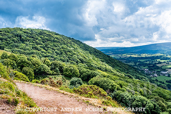 Bossington Hill 14 June 2020-4044