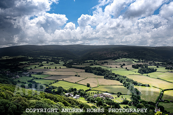 Bossington Hill 14 June 2020-4045