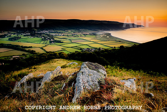 Bossington Hill - june-july 2020-3252