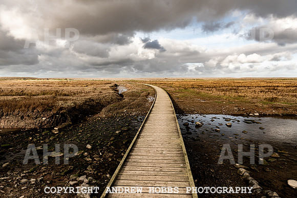 Porlock Marsh Dec 20-7342