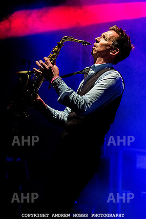 Watchet Festival 2016-5770