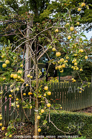 Tadley Court School 029