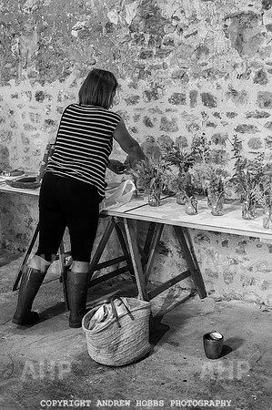 Wambrook Flower Show Centenary 143