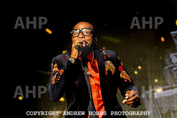 Dub Pistols - Camp Bestival 2021-7433