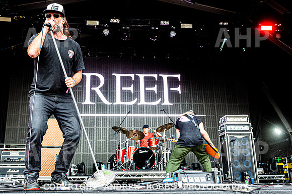 Reef -  Camp Bestival 2021-8911