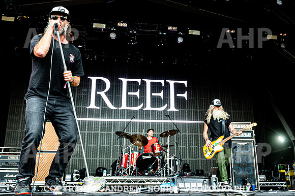 Reef -  Camp Bestival 2021-8919