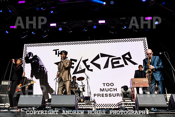 The Selector - Camp Bestival 2021-5128