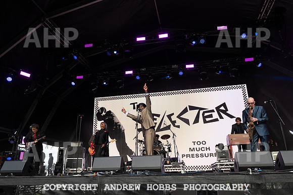 The Selector - Camp Bestival 2021-5142