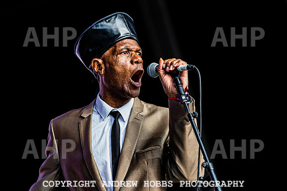 The Selector - Camp Bestival 2021-6681