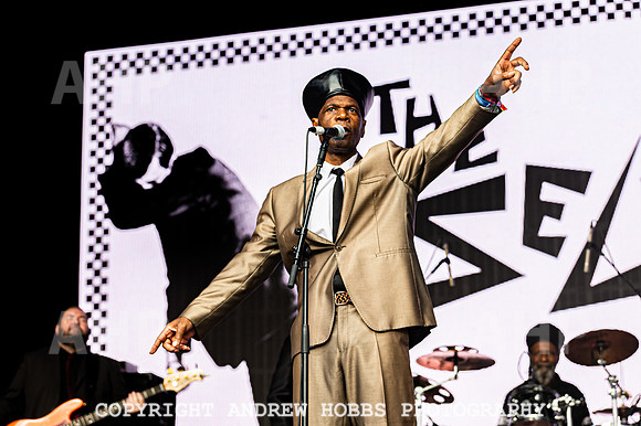 The Selector - Camp Bestival 2021-6753