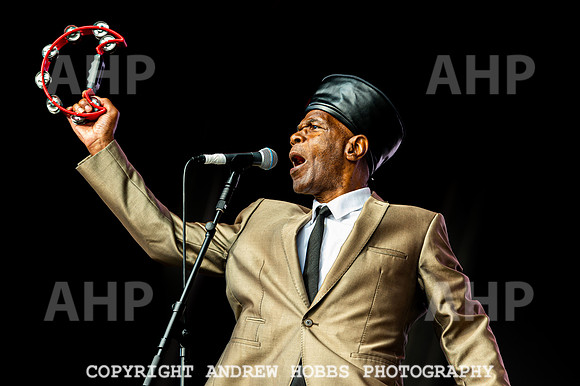 The Selector - Camp Bestival 2021-6766