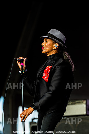 The Selector - Camp Bestival 2021-6777