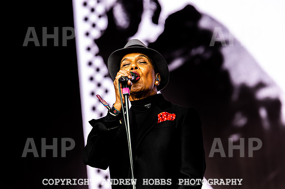 The Selector - Camp Bestival 2021-6799