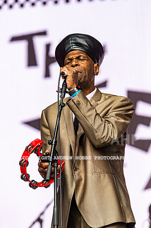 The Selector - Camp Bestival 2021-6833