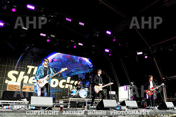 The Sherlocks -  Camp Bestival 2021-8872