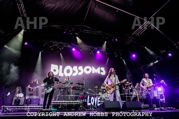 Blossoms -  Camp Bestival 2021-5979