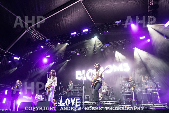 Blossoms -  Camp Bestival 2021-5985