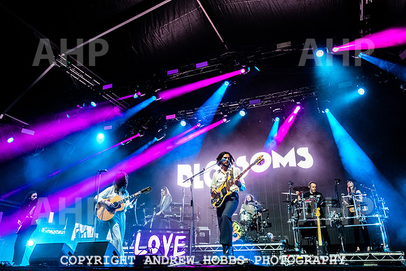 Blossoms -  Camp Bestival 2021-5998