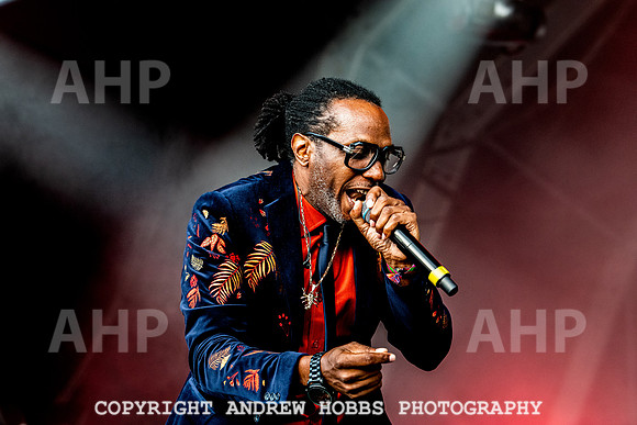 Dub Pistols - Camp Bestival 2021-7223