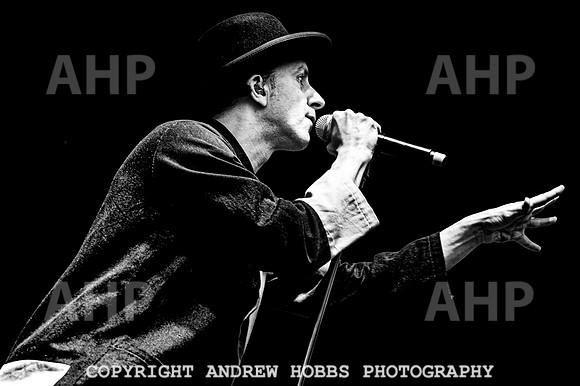 Maximo Park - Beautiful Days 2022-9968