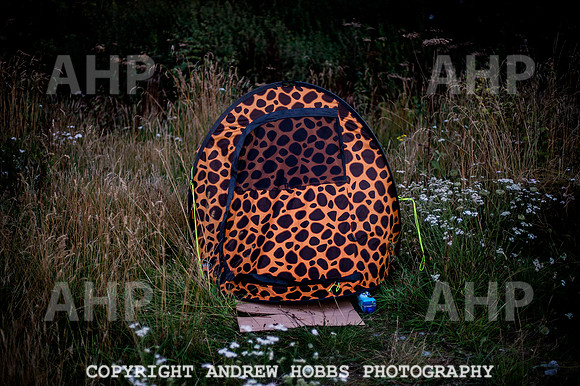 First Camp Badger_9009