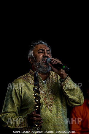 Watchet Music Festival_7801
