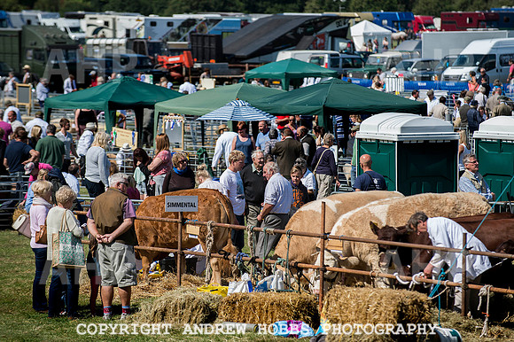 Dunster Show 2014 012