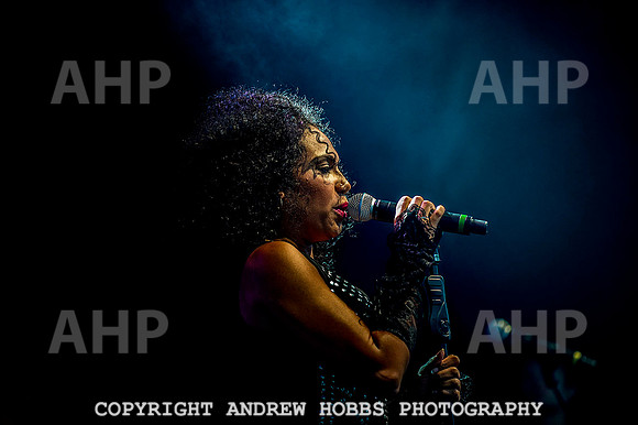 Watchet Music Festival_7127