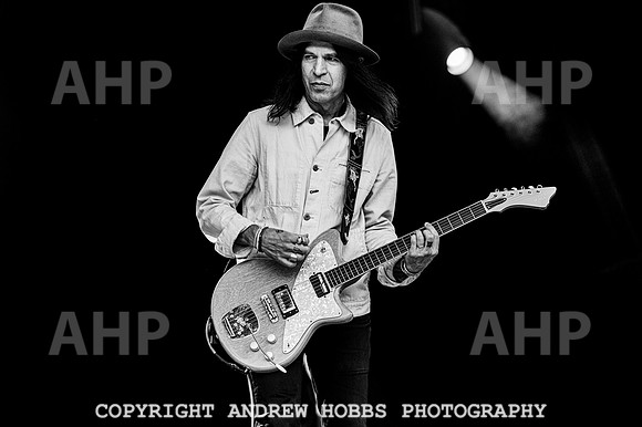 The Dandy Warhols - Beautiful Days 2022-5305