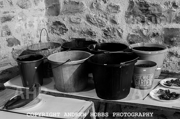 Wambrook Flower Show Centenary 153